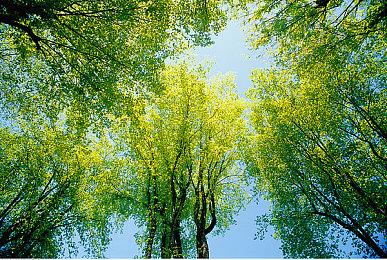 《灵魂骇客2》Steam兑换码购买特典公布 8月26日正式上线